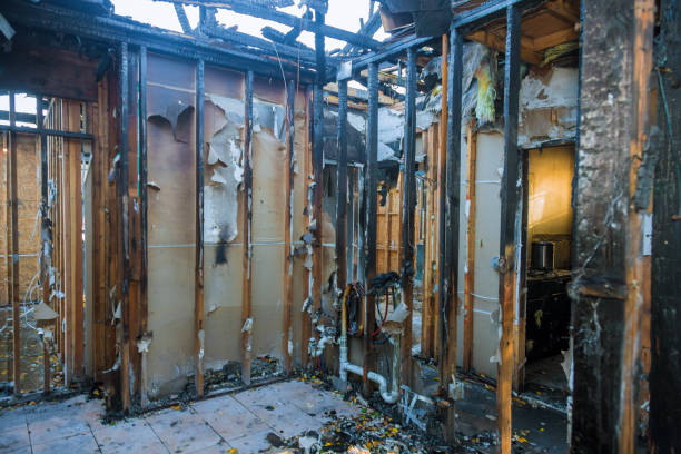 Professional Smoke Damage Removal technician working in Tonawanda, NY